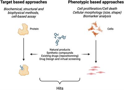 Identification of first active compounds in drug discovery. how to proceed?